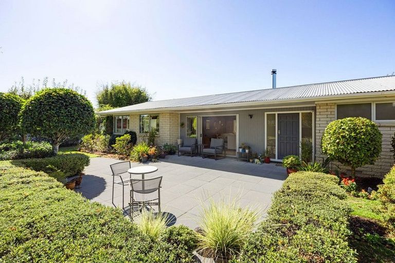 Photo of property in 65a Vogel Street, Cambridge, 3434