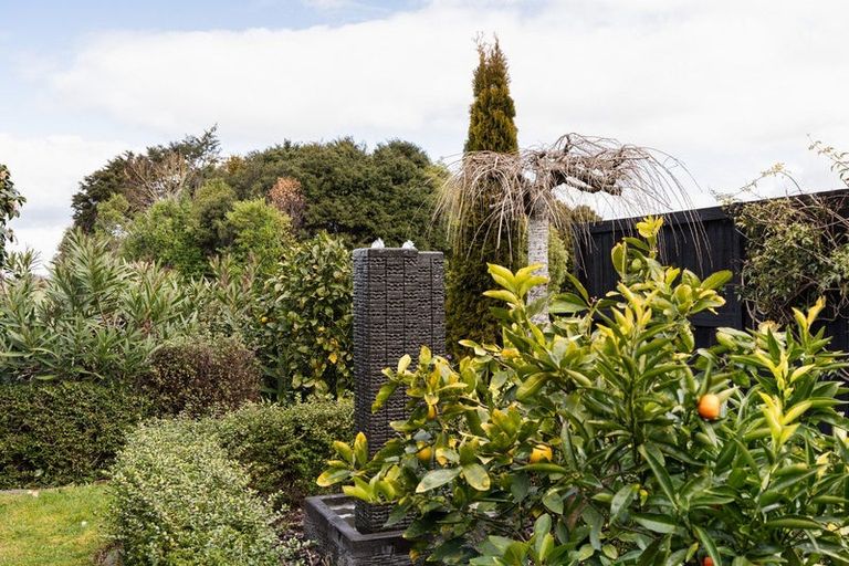 Photo of property in 34 Madison Street, Cambridge, 3434