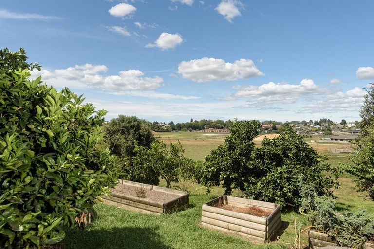 Photo of property in 40 Oxford Street, Te Puke, 3119