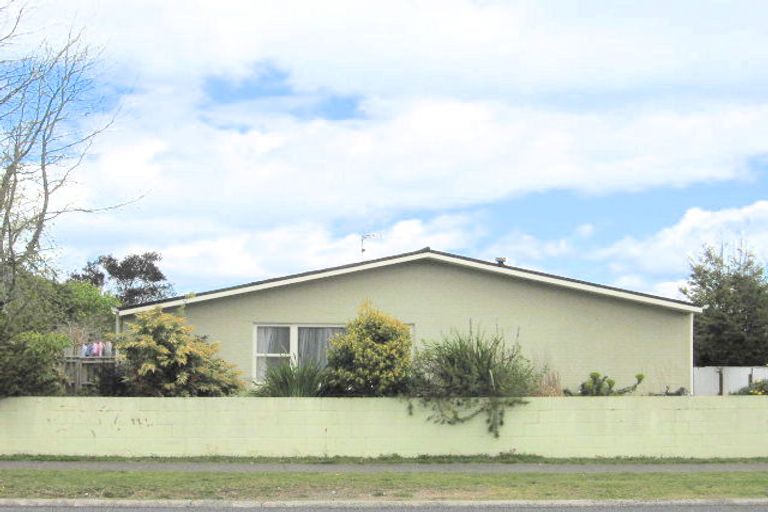 Photo of property in 169 Tamamutu Street, Taupo, 3330