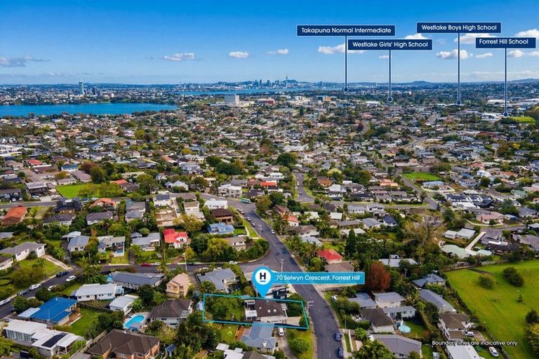 Photo of property in 70 Selwyn Crescent, Forrest Hill, Auckland, 0620