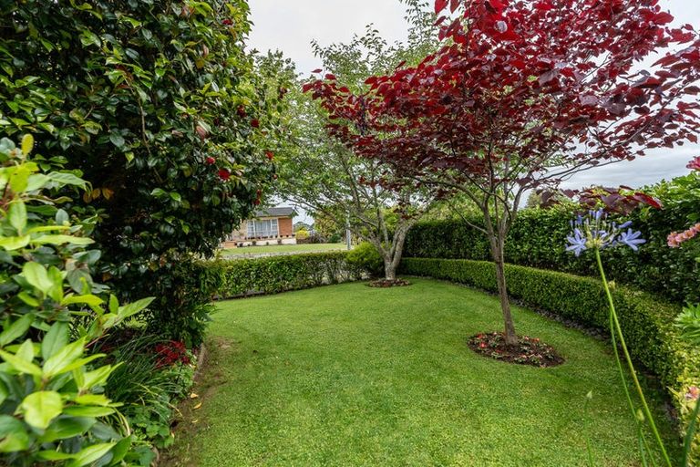 Photo of property in 31 Resthill Crescent, Glenview, Hamilton, 3206