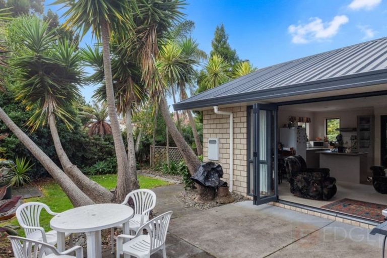 Photo of property in 55 Bridge Street, Whakatane, 3120