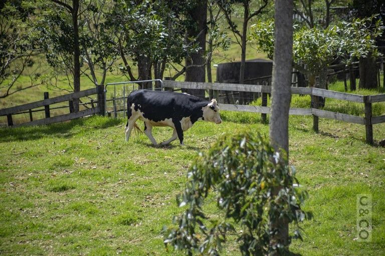 Photo of property in 589 Inland Road, Helensville, 0875