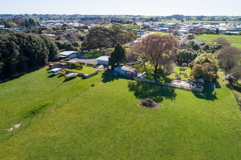 Photo of property in 36 Arnott Street, Feilding, 4702
