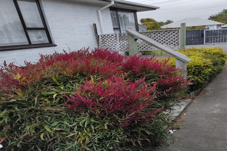 Photo of property in 36 Bethel Crescent, Bishopdale, Christchurch, 8053