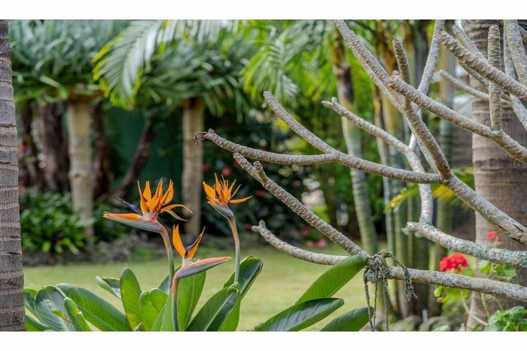 Photo of property in 38 Cobham Road, Kerikeri, 0230