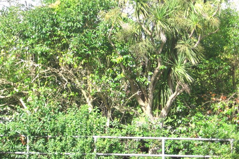 Photo of property in 198 Henderson Valley Road, Henderson, Auckland, 0612