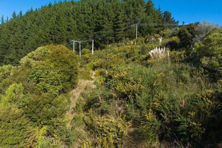 Photo of property in 318 Port Underwood Road, Whatamango Bay, Picton, 7281
