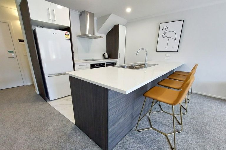 Photo of property in 110/3u Rawhiti Street, Frankton, Hamilton, 3204