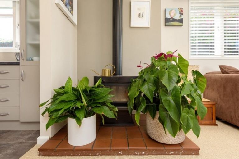 Photo of property in 12 Campbell Road, Mount Maunganui, 3116