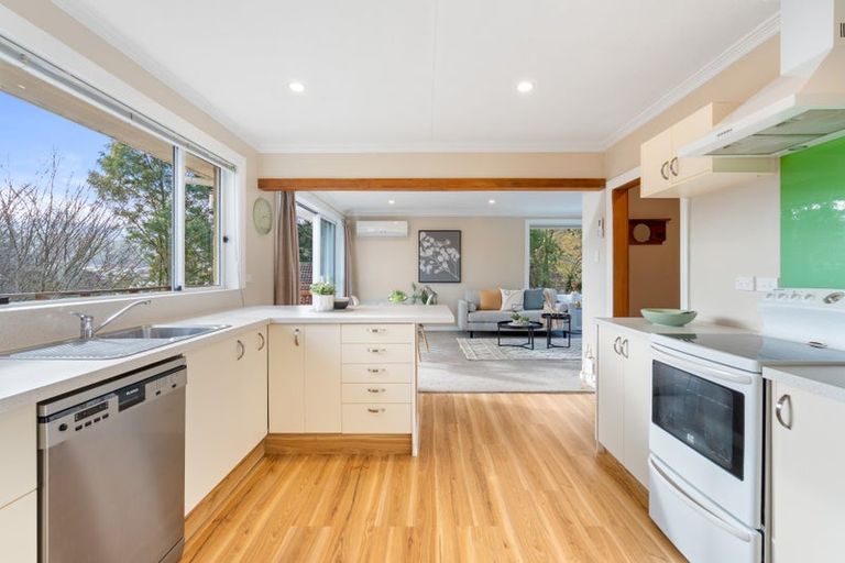 Photo of property in 105 Hocken Street, Kenmure, Dunedin, 9011