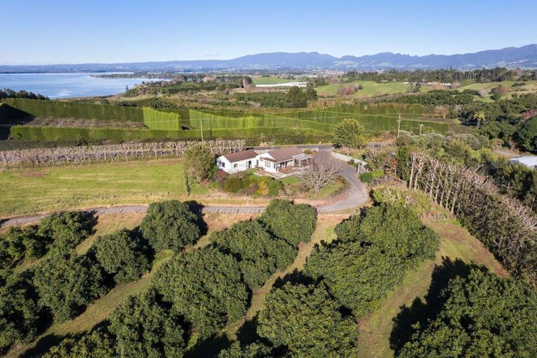 Photo of property in 297 Kauri Point Road, Tahawai, Katikati, 3170