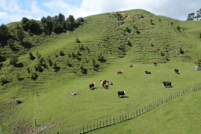 Photo of property in 965 Te Waitere Road, Taharoa, Te Kuiti, 3988