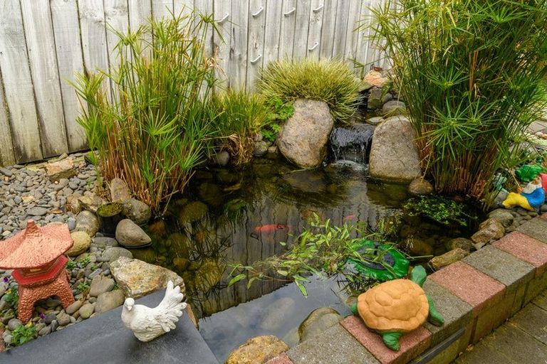 Photo of property in 191b Maungatapu Road, Maungatapu, Tauranga, 3112