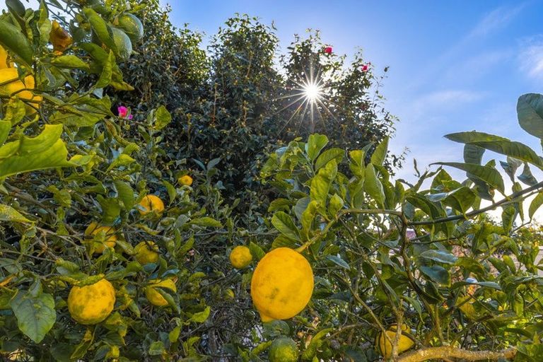 Photo of property in 54 Rayner Road, Huntly, 3700