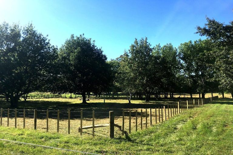 Photo of property in 202 Tapairu Road, Waipawa, 4275