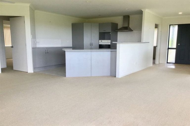Photo of property in 1707 Mangawhai Road, Mangawhai, Wellsford, 0975
