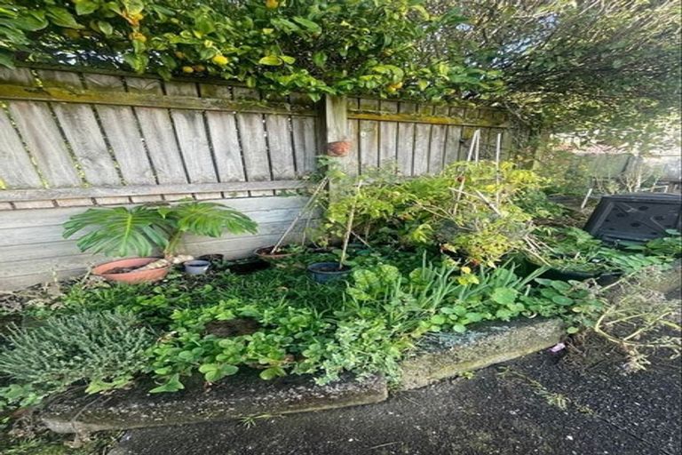 Photo of property in 23 Nairn Street, Mount Cook, Wellington, 6011