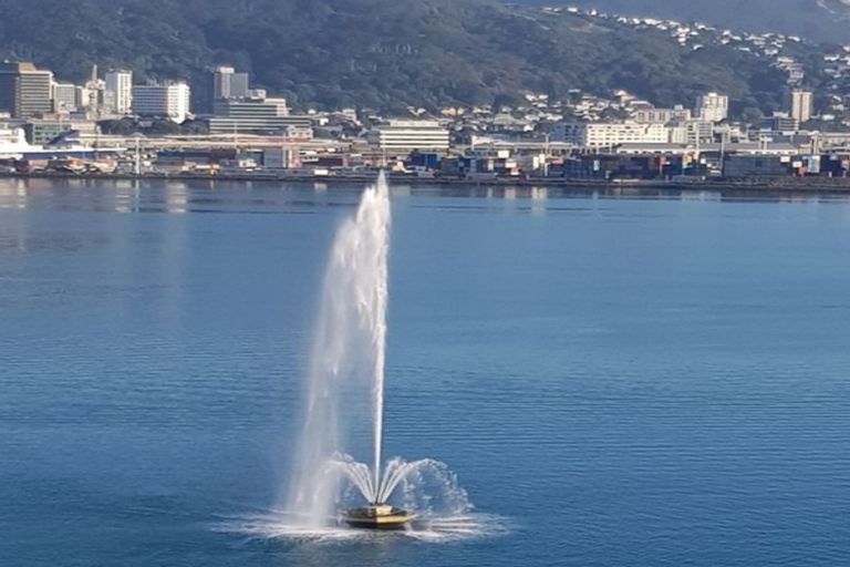 Photo of property in 9u9 Wilkinson Street, Oriental Bay, Wellington, 6011