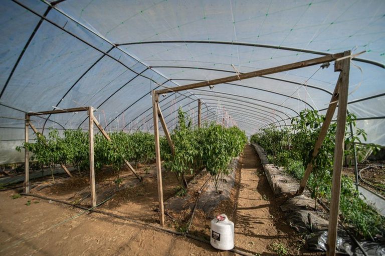 Photo of property in 389 Waiuku Road, Puni, Pukekohe, 2678