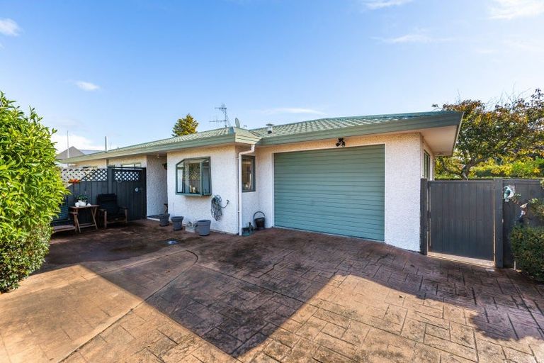 Photo of property in 612c Fitzroy Avenue, Mahora, Hastings, 4120
