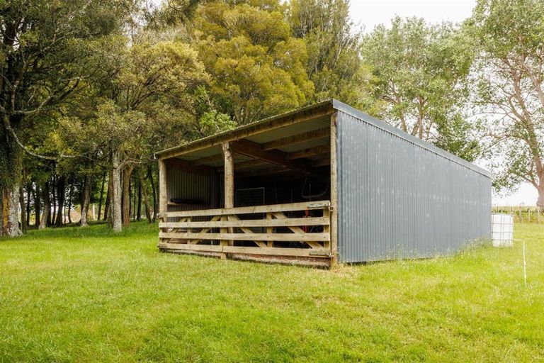 Photo of property in 361 Warrens Road, Marton, 4788