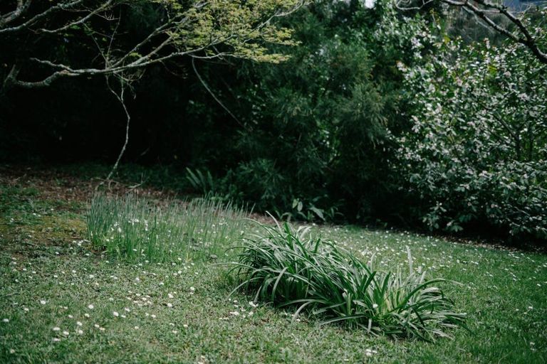 Photo of property in 15 Fenton Terrace, Cockle Bay, Auckland, 2014