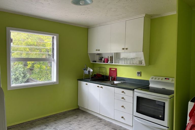 Photo of property in 43 Honiana Te Puni Street, Aro Valley, Wellington, 6021