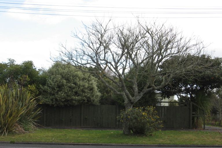 Photo of property in 133 Galloway Street, Hamilton East, Hamilton, 3216