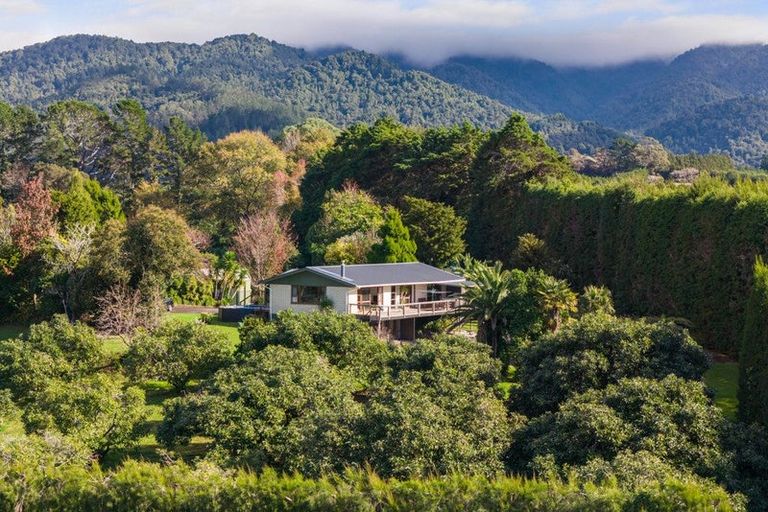 Photo of property in 270 Wharawhara Road, Tahawai, Katikati, 3178