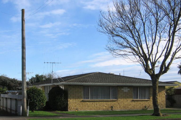 Photo of property in 2/4 Mckenzie Street, Levin, 5510