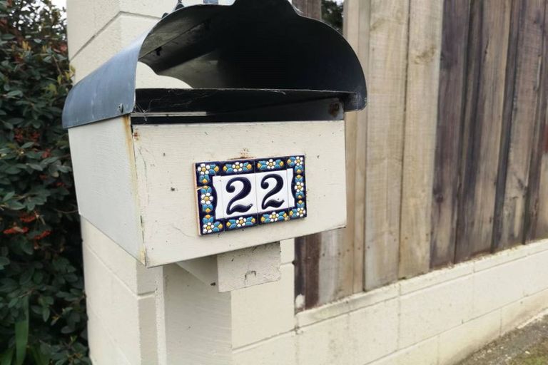 Photo of property in 22 Kaikoura Street, Henderson, Auckland, 0612