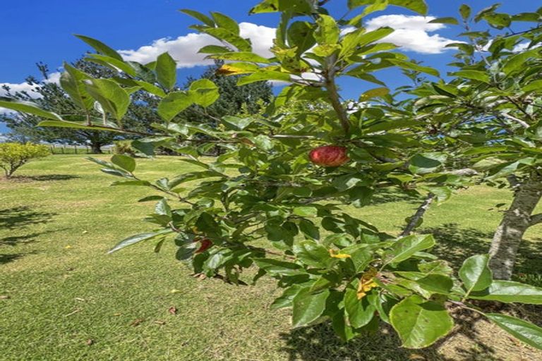 Photo of property in 960 Whangaripo Valley Road, Whangaripo, Wellsford, 0972