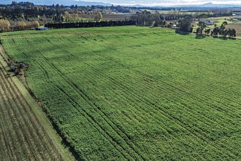 Photo of property in 42 Hunter Street, Edendale, 9825
