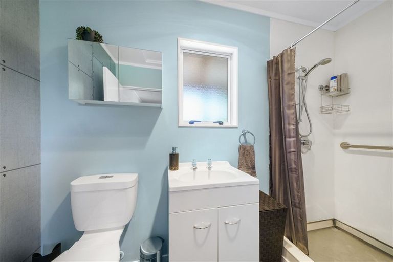 Photo of property in 170 Tiro Tiro Road, Levin, 5510