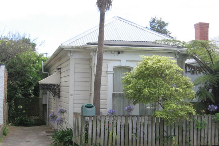 Photo of property in 12 Carrington Street, Mount Cook, Wellington, 6021