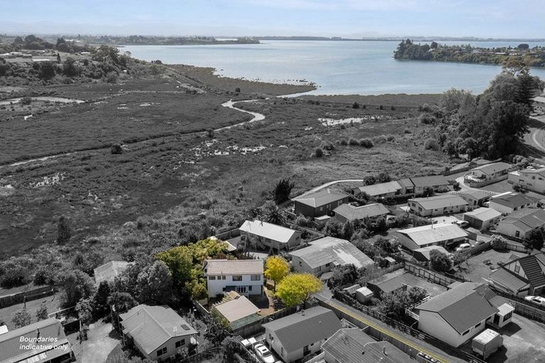 Photo of property in 39 Westwood Street, Bellevue, Tauranga, 3110