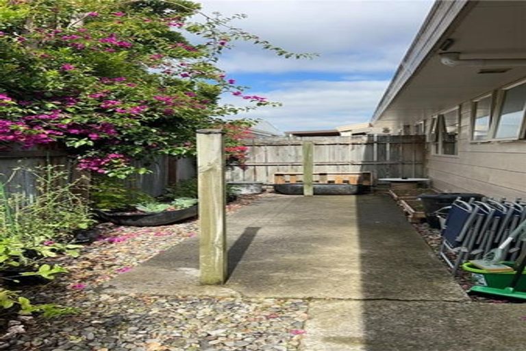 Photo of property in 20 Elzy Street, Blenheim, 7201