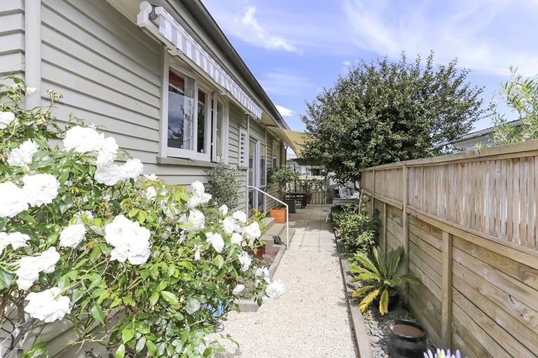 Photo of property in 11 Puriri Avenue, Te Puke, 3119