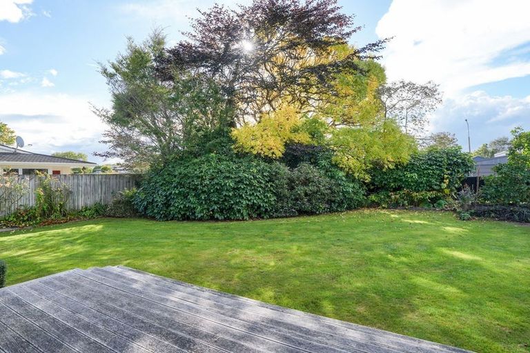 Photo of property in 95 Lewis Street, Glenview, Hamilton, 3206