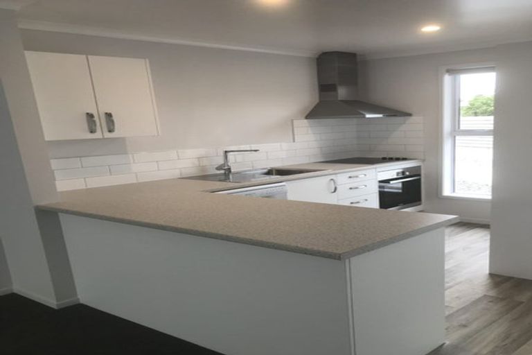 Photo of property in 19u5 Seddon Road, Frankton, Hamilton, 3204