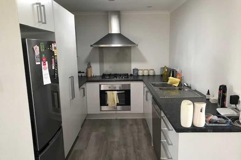 Photo of property in 193u1 Massey Street, Frankton, Hamilton, 3204