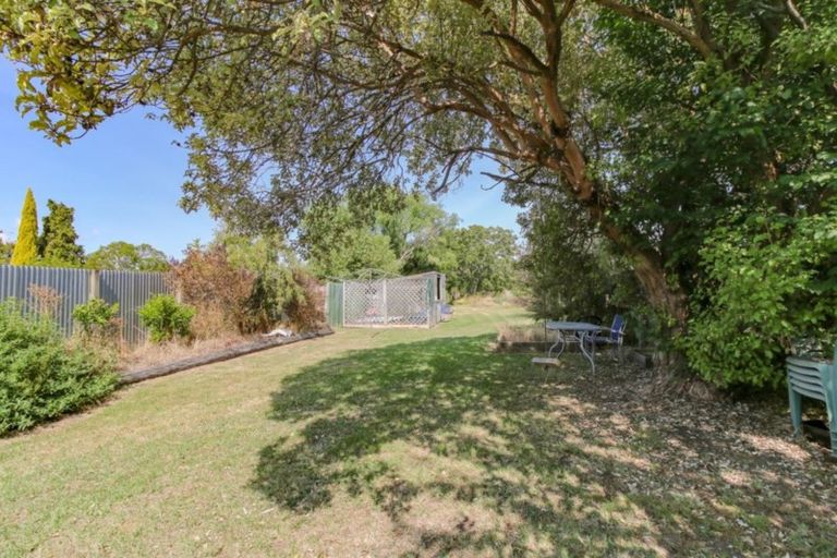 Photo of property in 53 Cornwall Street, Masterton, 5810