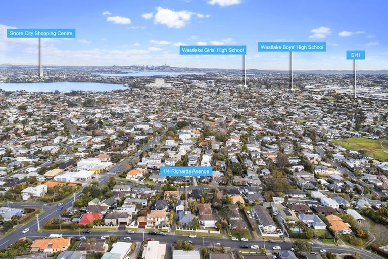 Photo of property in 4a Richards Avenue, Forrest Hill, Auckland, 0620