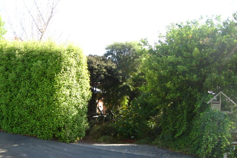 Photo of property in 21 Royston Street, North East Valley, Dunedin, 9010
