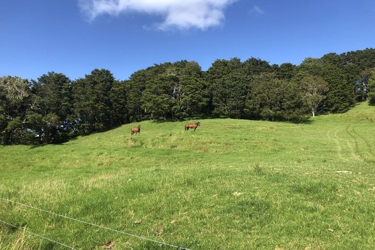 Photo of property in 504b Wairere Road, Maungaturoto, 0571