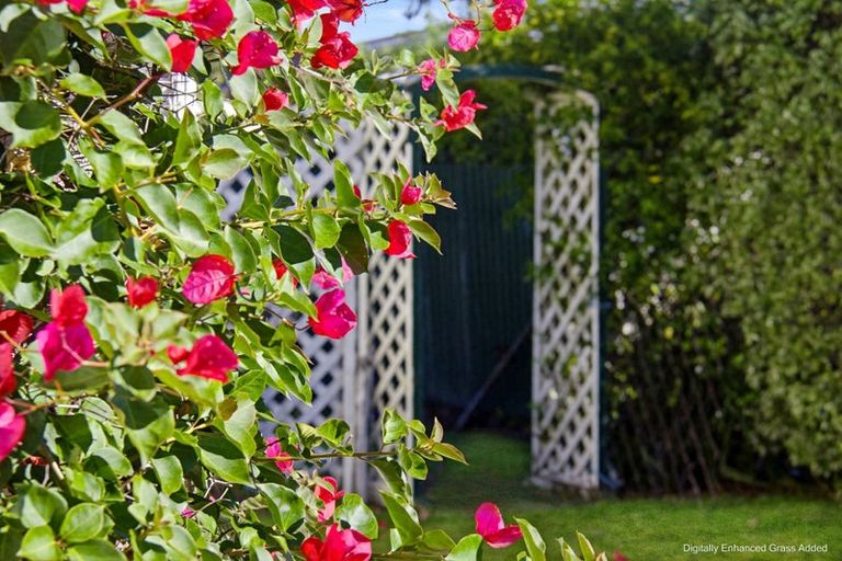 Photo of property in 144 Cockburn Street, Kuripuni, Masterton, 5810