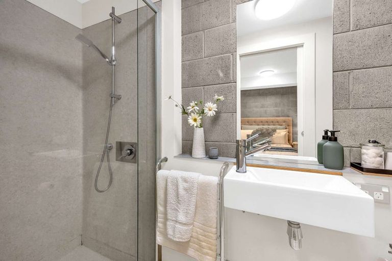 Photo of property in 3uj Papawai Terrace, Mount Cook, Wellington, 6021