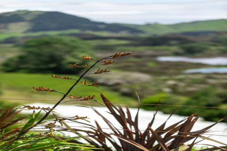 Photo of property in 91 Koutunui Road, Athenree, Waihi Beach, 3177